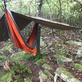 Review photo of Dolly Sods Backcountry by Paul N., June 12, 2019