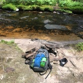 Review photo of Dolly Sods Backcountry by Paul N., June 12, 2019