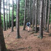 Review photo of Dolly Sods Backcountry by Paul N., June 12, 2019