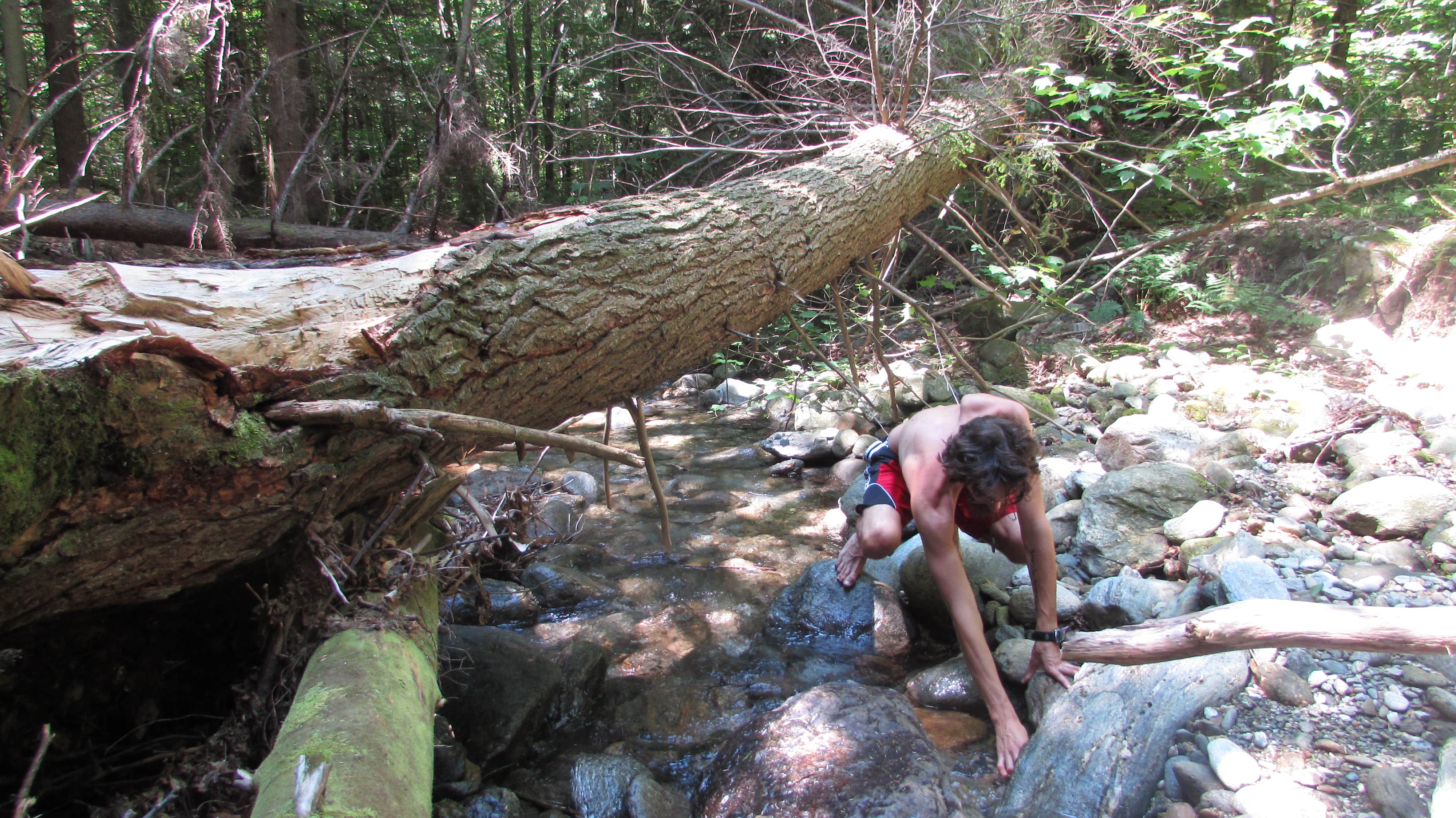 Camper-submitted photo at Lincoln Dispersed Camping near Lincoln, VT