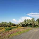 Review photo of Potholes State Park Campground by Brandon B., June 12, 2019