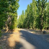 Review photo of Potholes State Park Campground by Brandon B., June 12, 2019