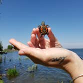 Review photo of Potholes State Park Campground by Brandon B., June 12, 2019