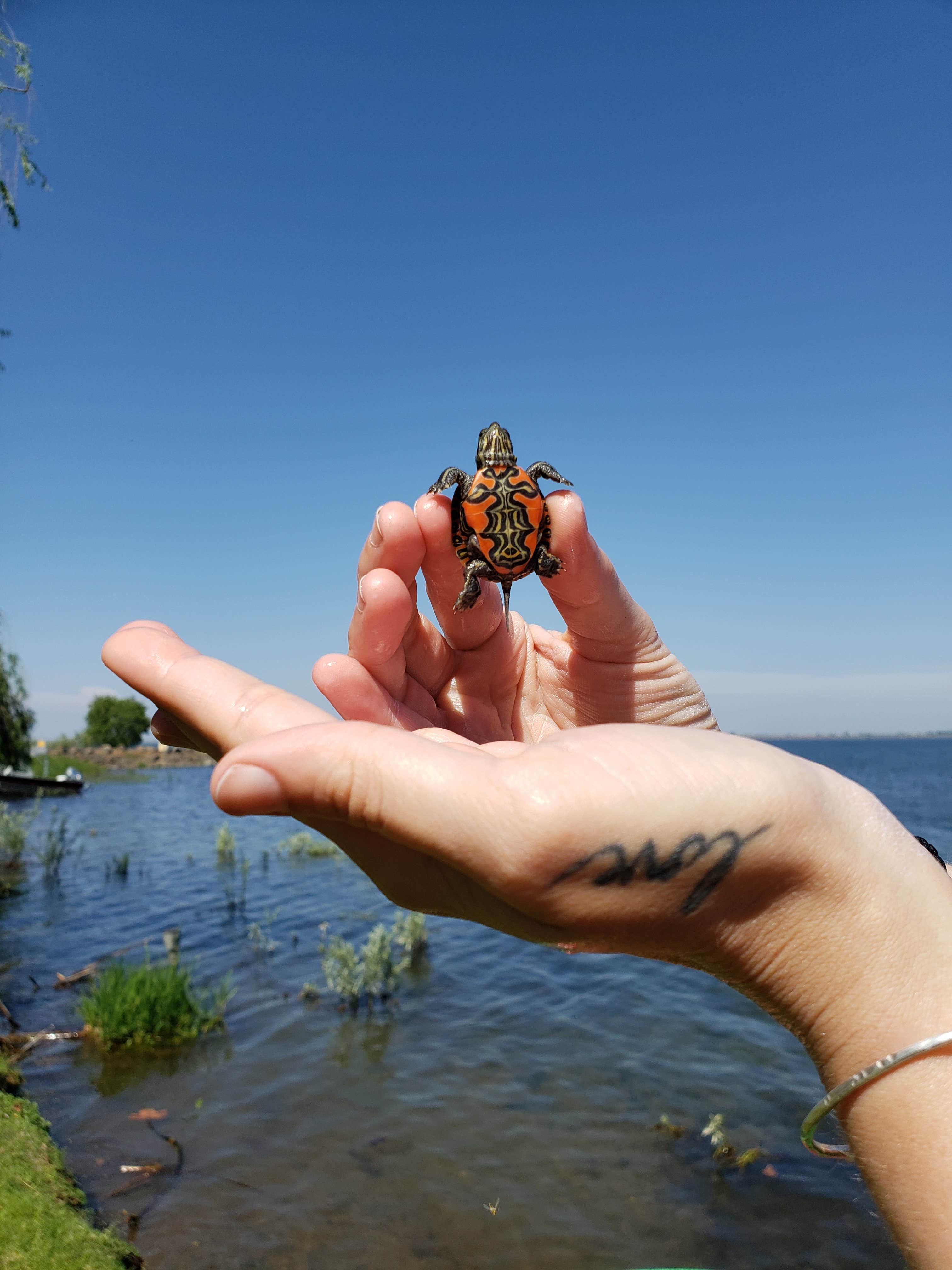 Camper submitted image from Potholes State Park Campground - 4