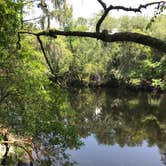 Review photo of Dogwood Campground — O'Leno State Park by Susan R., June 12, 2019