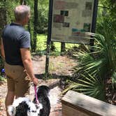 Review photo of Dogwood Campground — O'Leno State Park by Susan R., June 12, 2019