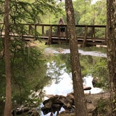 Review photo of O'Leno State Park Campground by Susan R., June 12, 2019