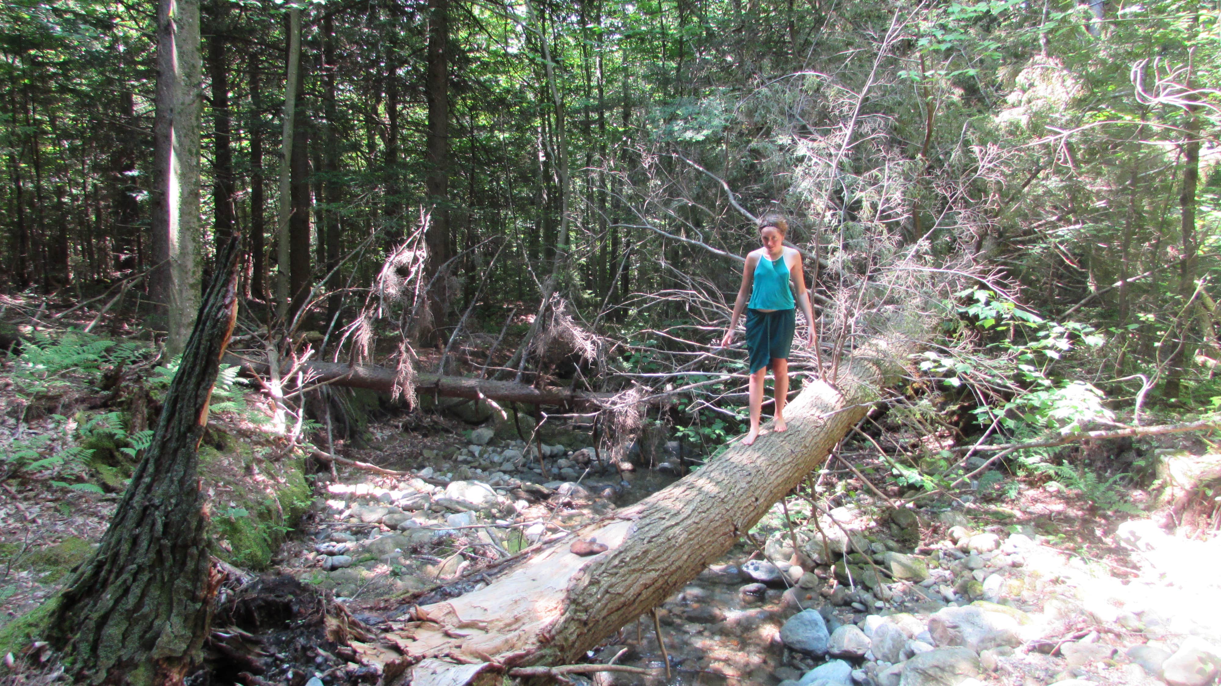 Camper-submitted photo at Lincoln Dispersed Camping near Lewis, NY