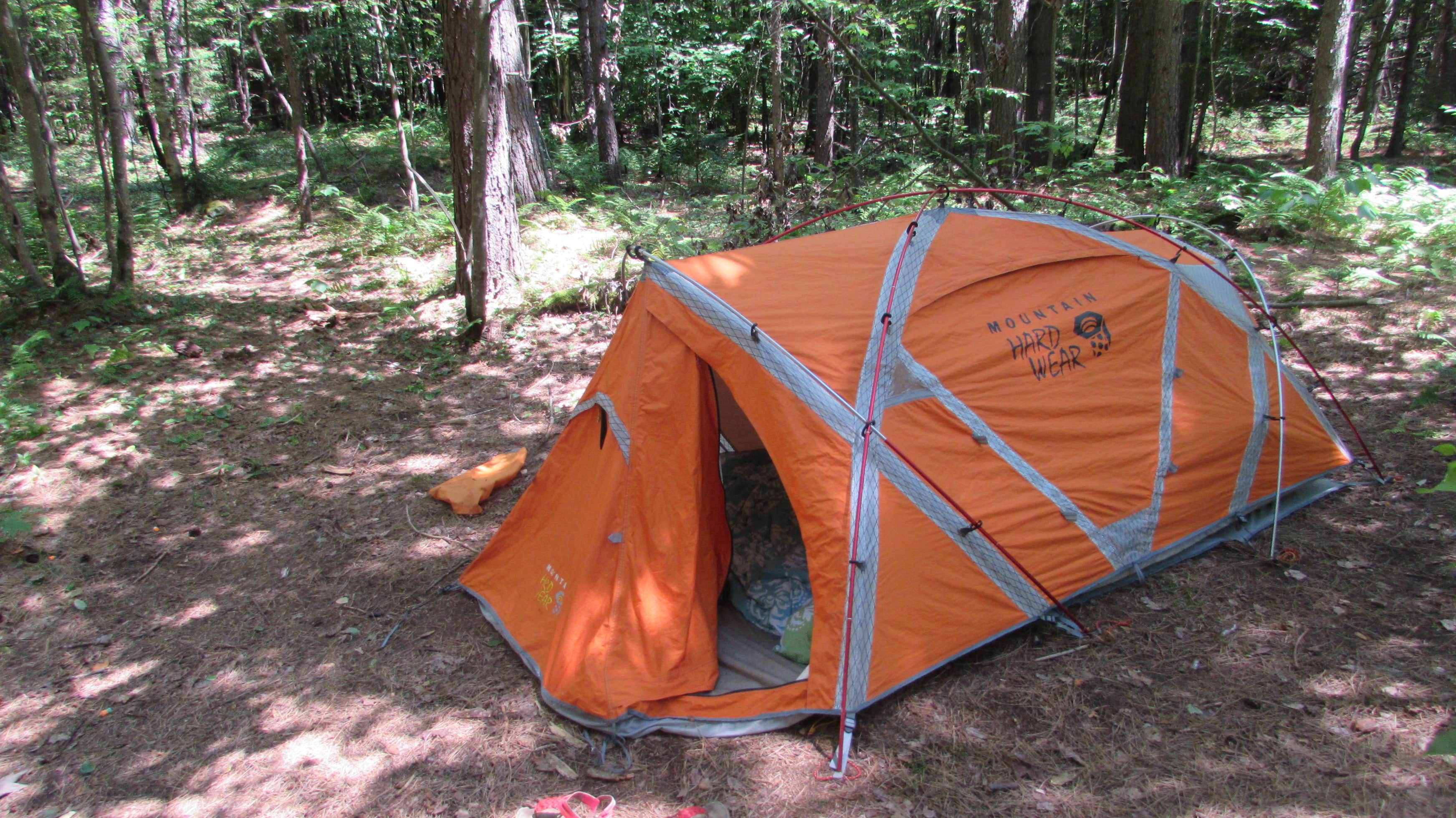 Lincoln Dispersed Camping Camping | The Dyrt