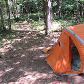 Review photo of Lincoln Dispersed Camping by Mike B., September 1, 2016