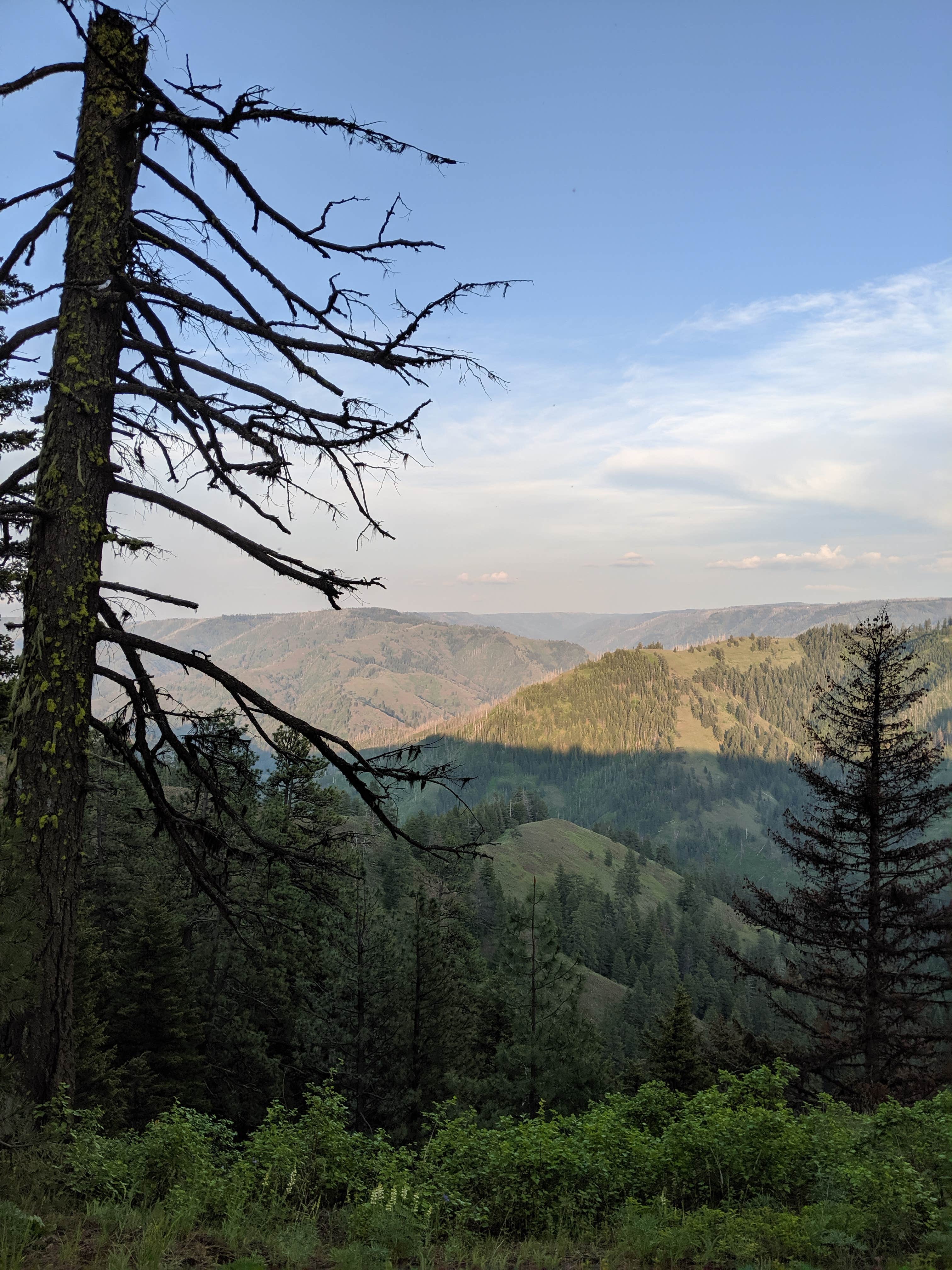 Camper-submitted photo at Midway Campground near Dixie, WA
