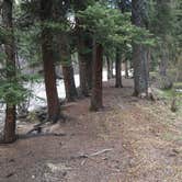 Review photo of Park Creek Campground by Amanda W., June 12, 2019