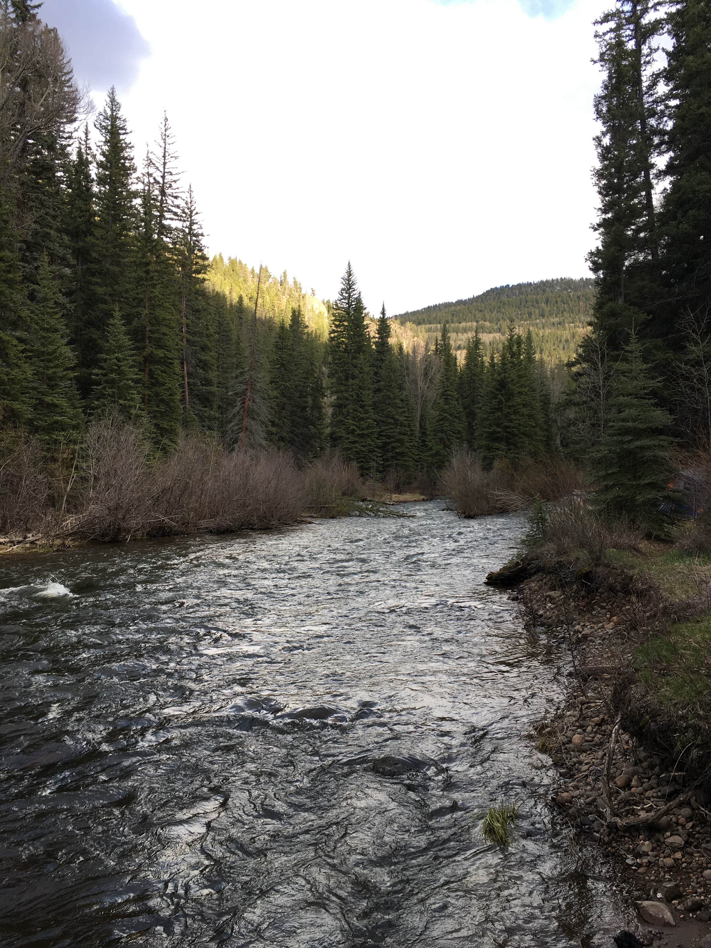Camper-submitted photo at Park Creek Campground near Rio Grande National Forest