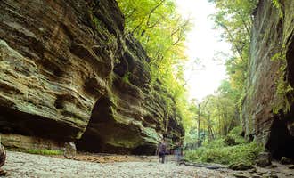 Camping near Pleasant Creek Campground: Starved Rock Campground — Starved Rock State Park, North Utica, Illinois