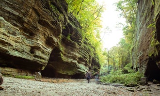 Starved Rock State Park Campground