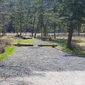 Review photo of Moose Creek Campground — Helena Lewis And Clark National Forest by Dexter I., June 12, 2019