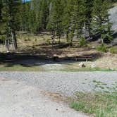 Review photo of Moose Creek Campground — Helena Lewis And Clark National Forest by Dexter I., June 12, 2019