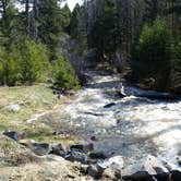 Review photo of Moose Creek Campground — Helena Lewis And Clark National Forest by Dexter I., June 12, 2019