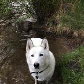 Review photo of Chatfield State Park Campground by Ryan T., June 12, 2019