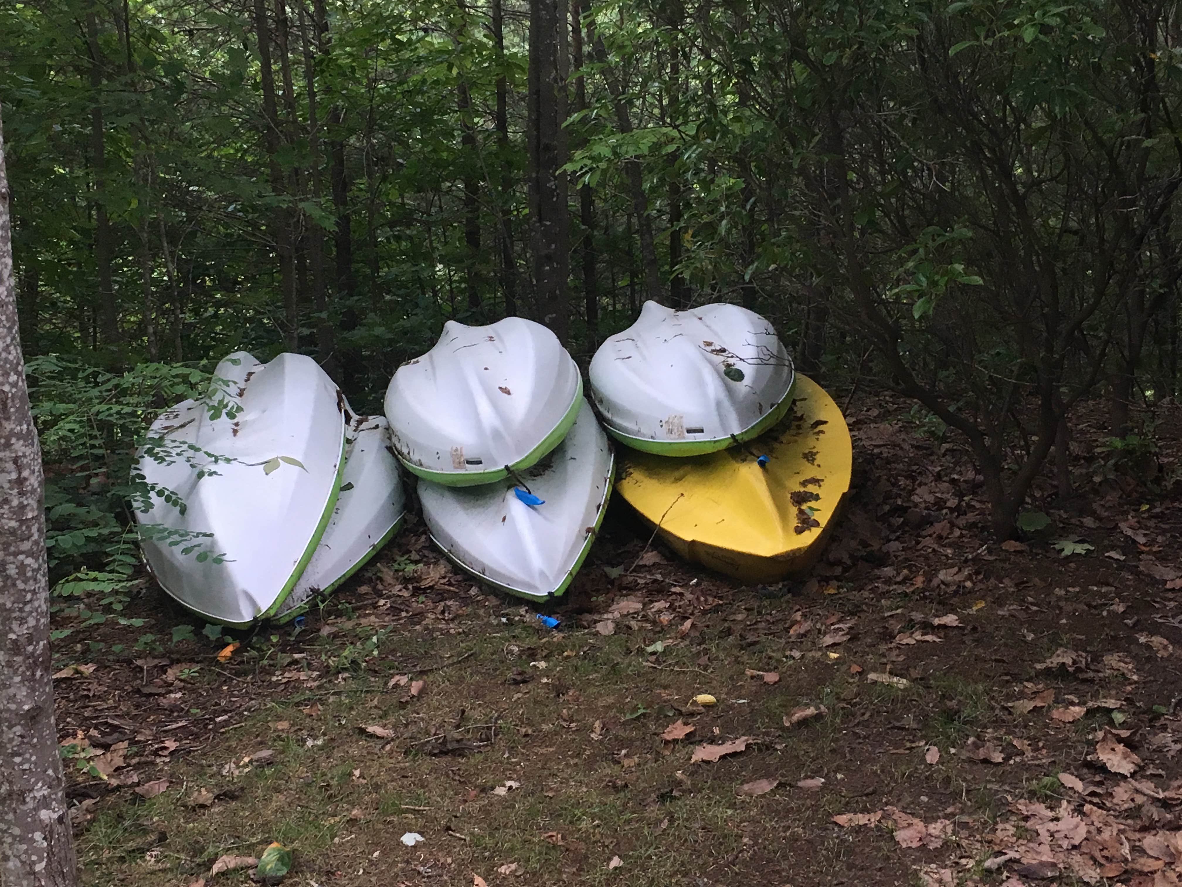 Camper-submitted photo at Barefoot Hills Motel near Dahlonega, GA