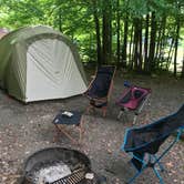 Review photo of Blackwater Falls State Park Campground by Katie M., June 12, 2019