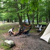 Review photo of Blackwater Falls State Park Campground by Katie M., June 12, 2019