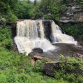 Review photo of Blackwater Falls State Park Campground by Katie M., June 12, 2019