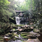 Review photo of Blackwater Falls State Park Campground by Katie M., June 12, 2019