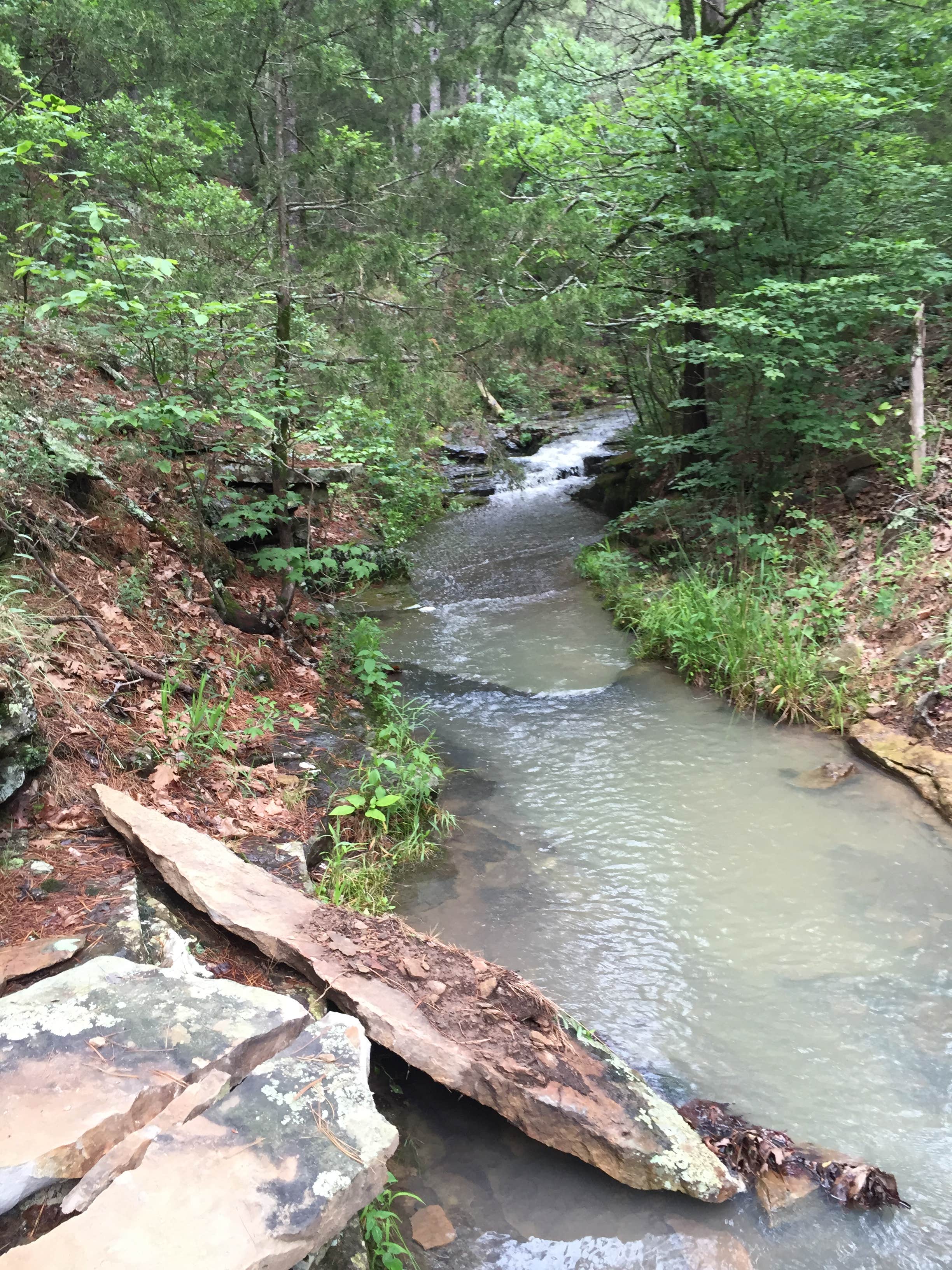 Boxelder Forks Campground The Dyrt