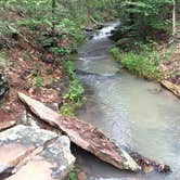 Review photo of Boxelder Forks Campground — Black Hills National Forest by Chad K., September 1, 2016
