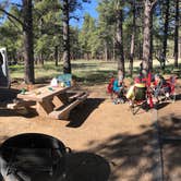 Review photo of Pinegrove Campground by Carly E., June 12, 2019