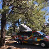 Review photo of Pinegrove Campground by Carly E., June 12, 2019