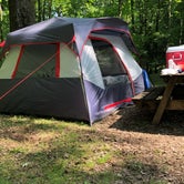 Review photo of Tygart Lake State Park Campground by J P., June 12, 2019