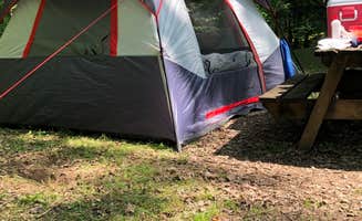 J P.'s photo at Tygart Lake State Park Campground near Masontown, WV