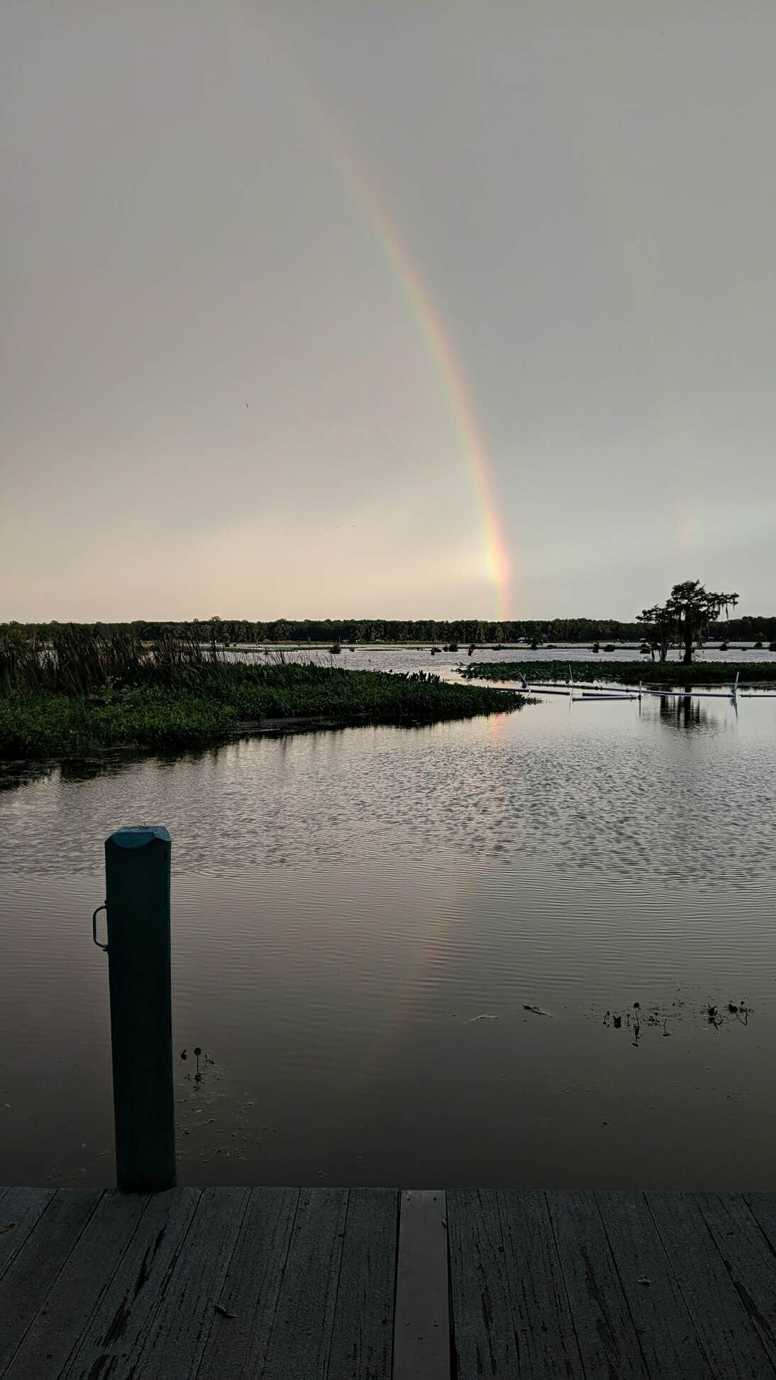 Camper submitted image from Withlacoochee Backwaters RV and MH Park - 3