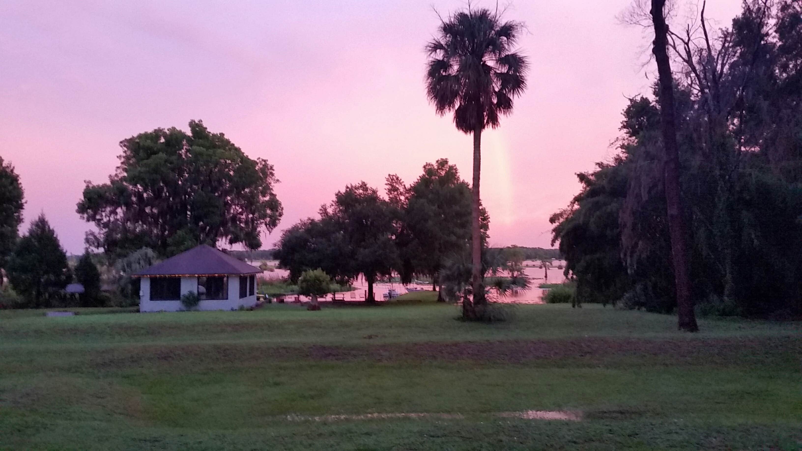 View All