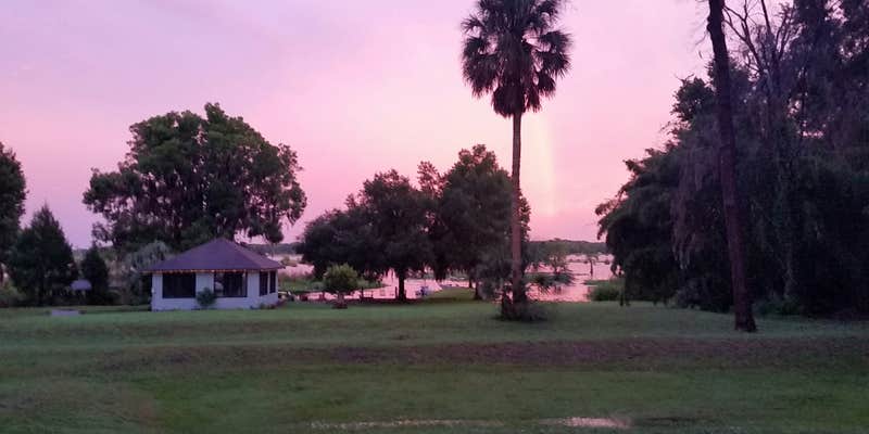 Camper submitted image from Withlacoochee Backwaters RV and MH Park