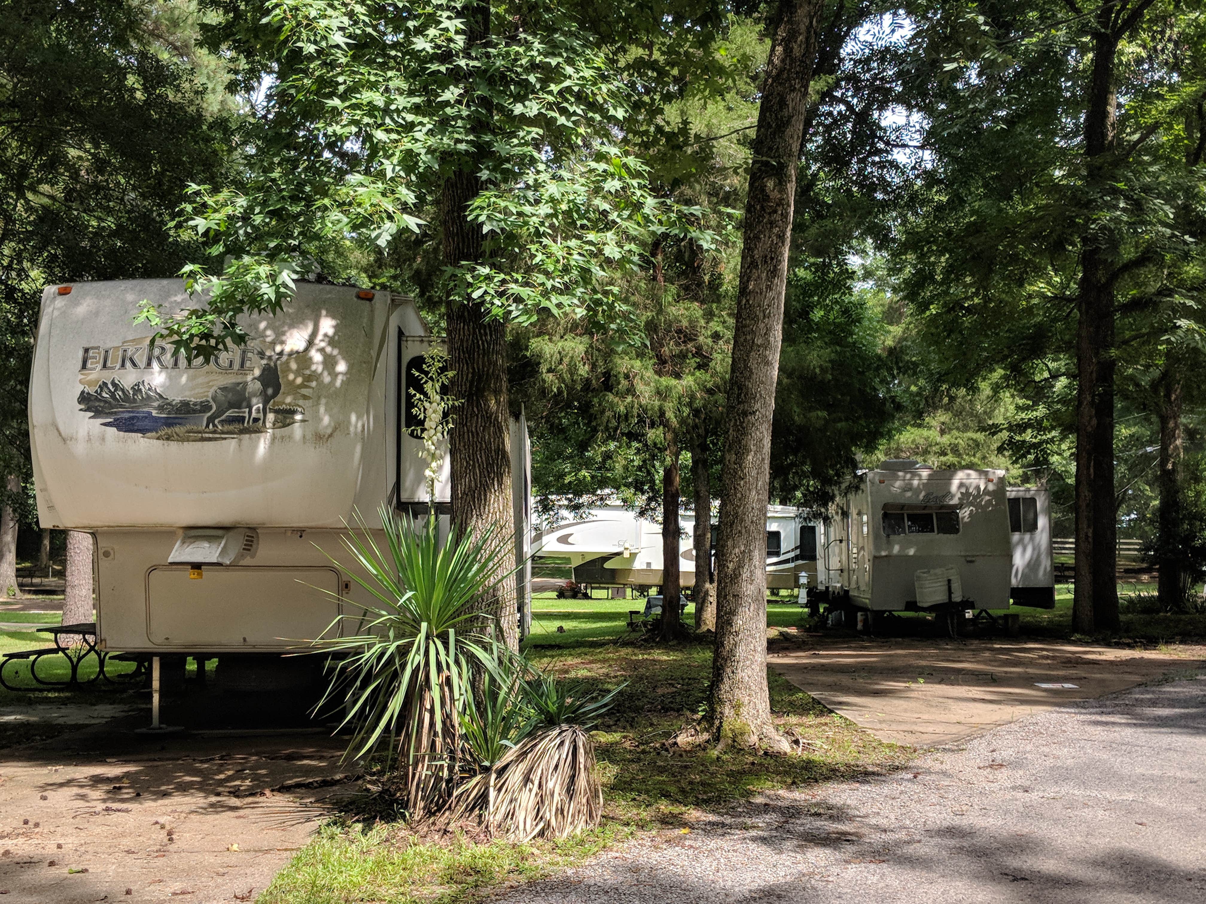 Camper submitted image from Plantation RV Park - 1