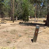 Review photo of Hurkey Creek Park by Mark C., September 1, 2016