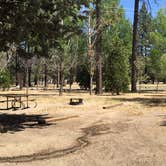Review photo of Hurkey Creek Park by Mark C., September 1, 2016