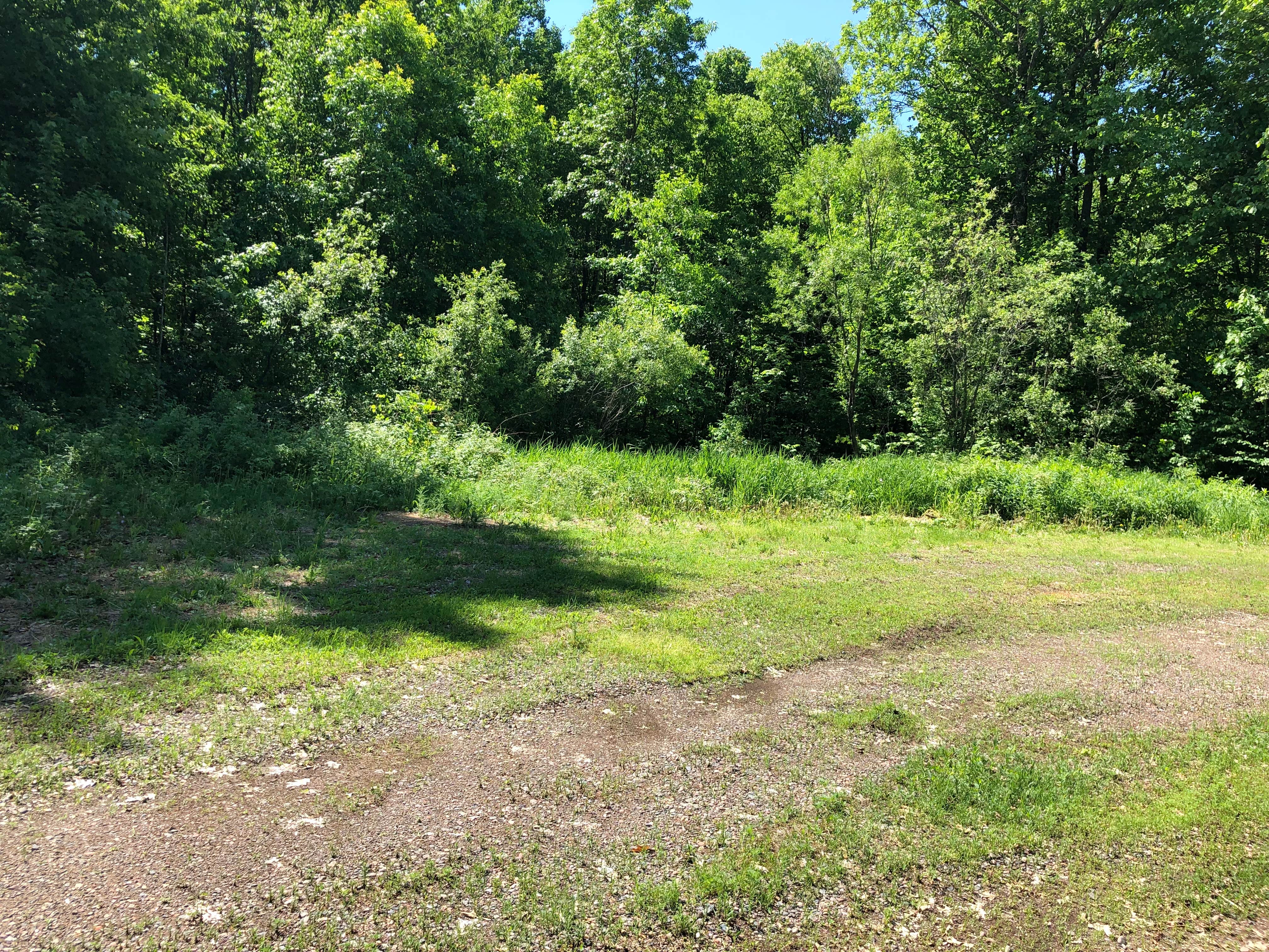 Camper-submitted photo at Rum River State Forest Dispersed near Otsego, MN
