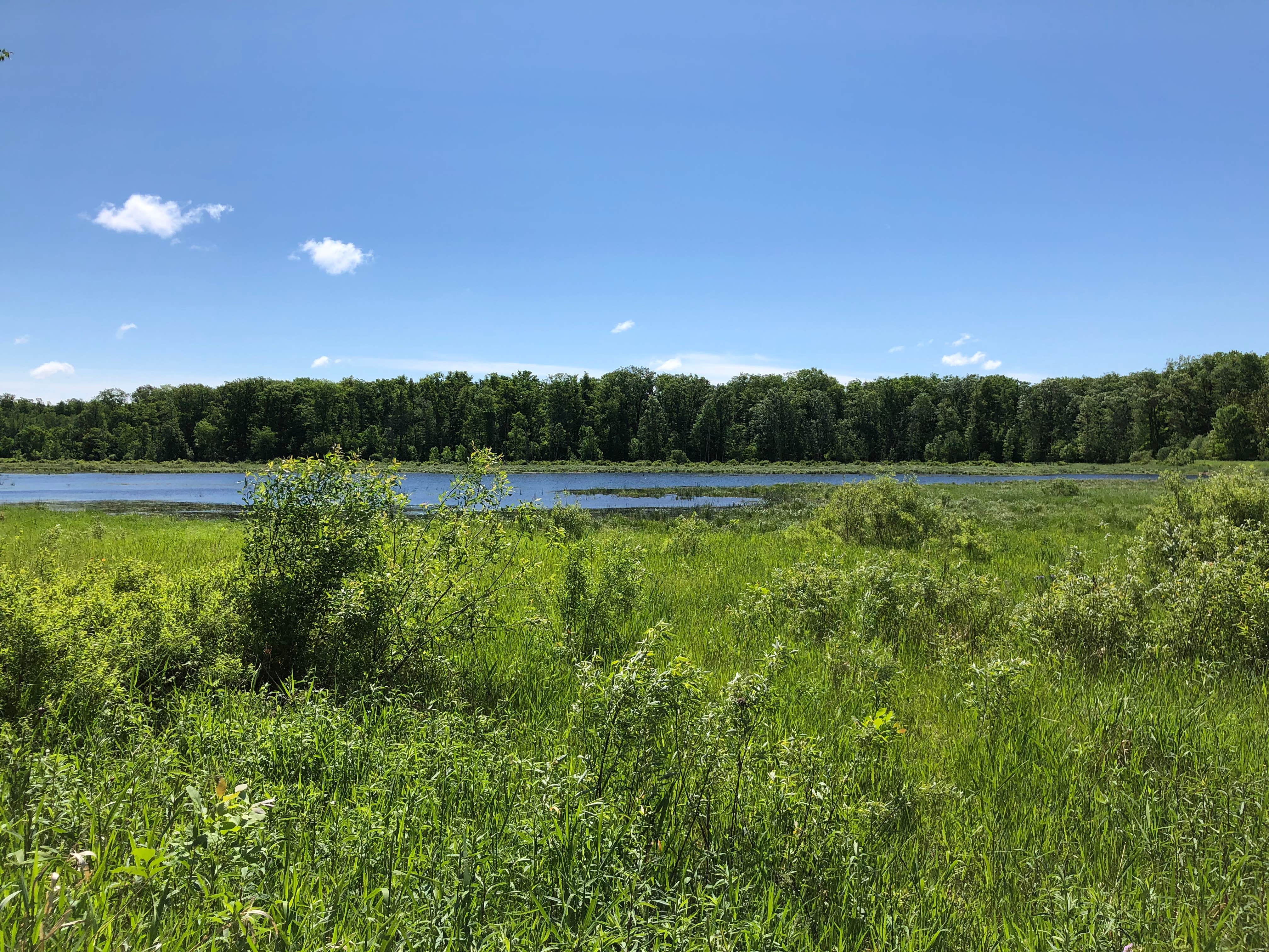 Camper-submitted photo at Rum River State Forest Dispersed near Otsego, MN
