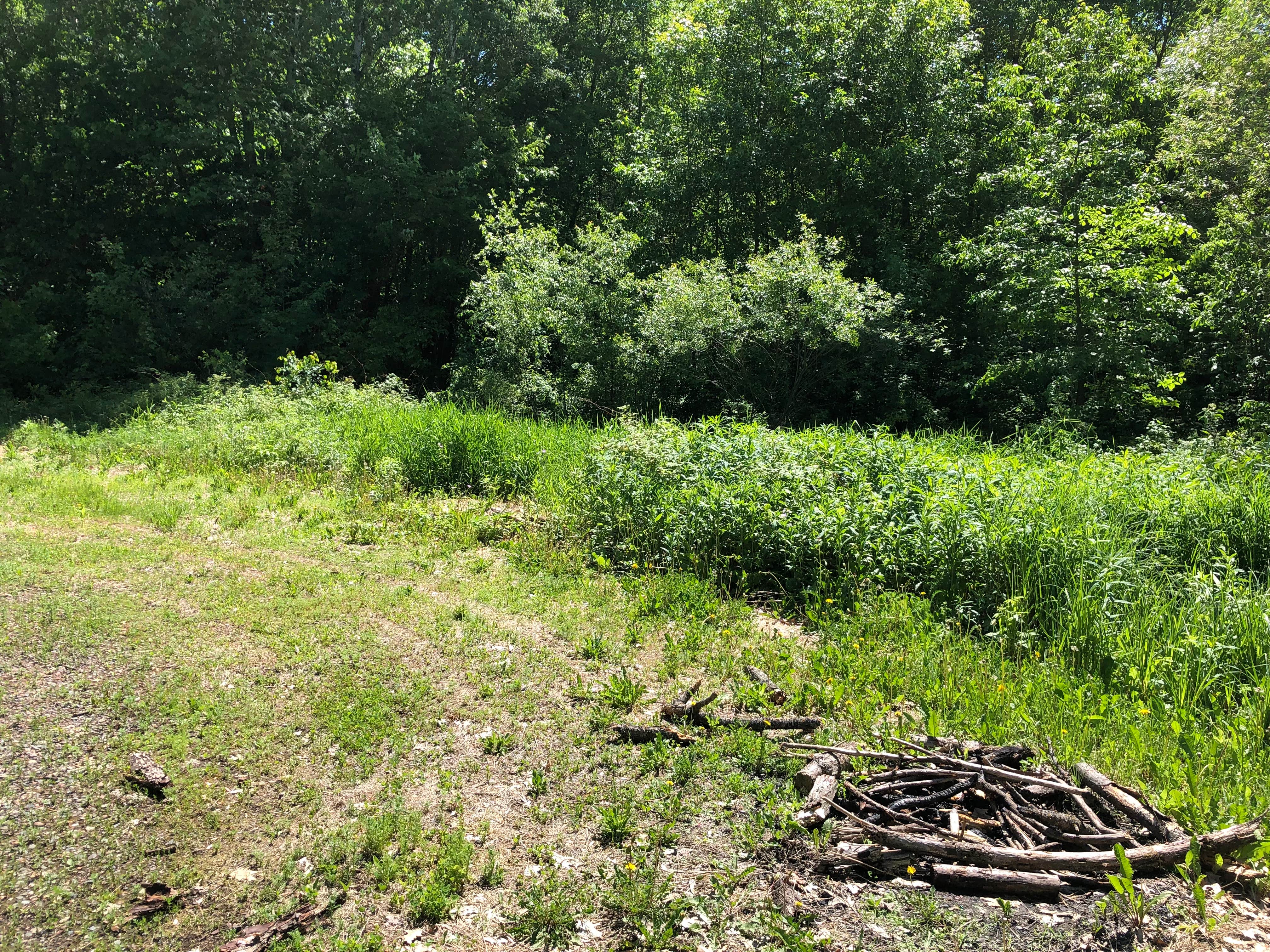 Camper-submitted photo at Rum River State Forest Dispersed near Otsego, MN