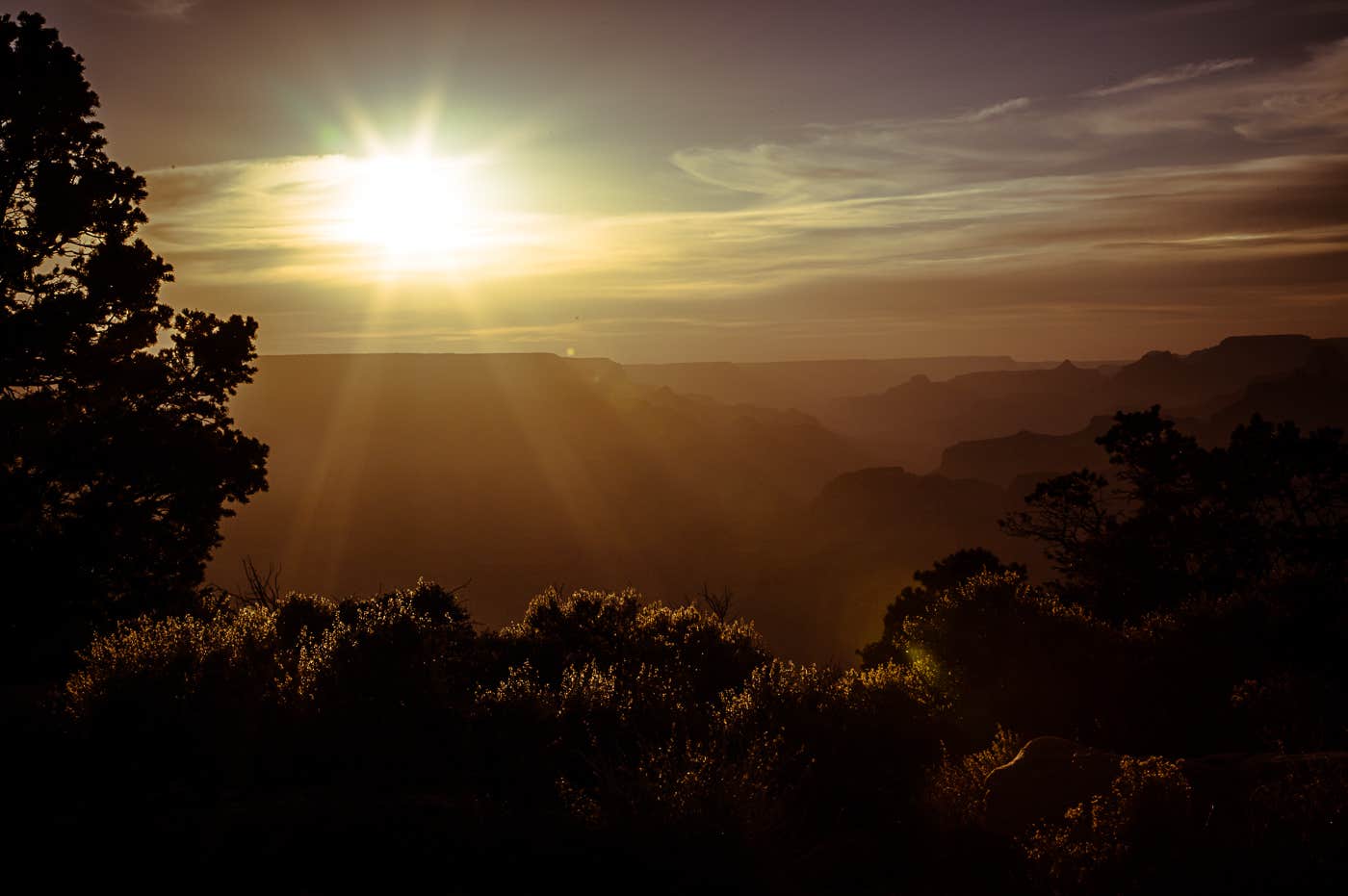 Nature