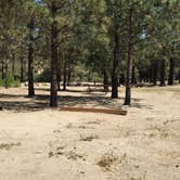 Review photo of Hurkey Creek Park by Mark C., September 1, 2016