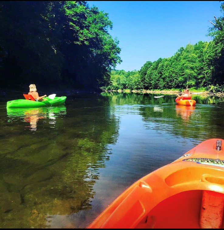 Camper-submitted photo at The Ole Cornfield near Adams, KY