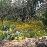 Review photo of Inks Lake State Park Campground by J E., June 12, 2019