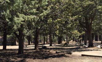 Camping near Idyllwild Campground — Mount San Jacinto State Park: Hurkey Creek Park, Mountain Center, California