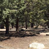 Review photo of Hurkey Creek Park by Mark C., September 1, 2016