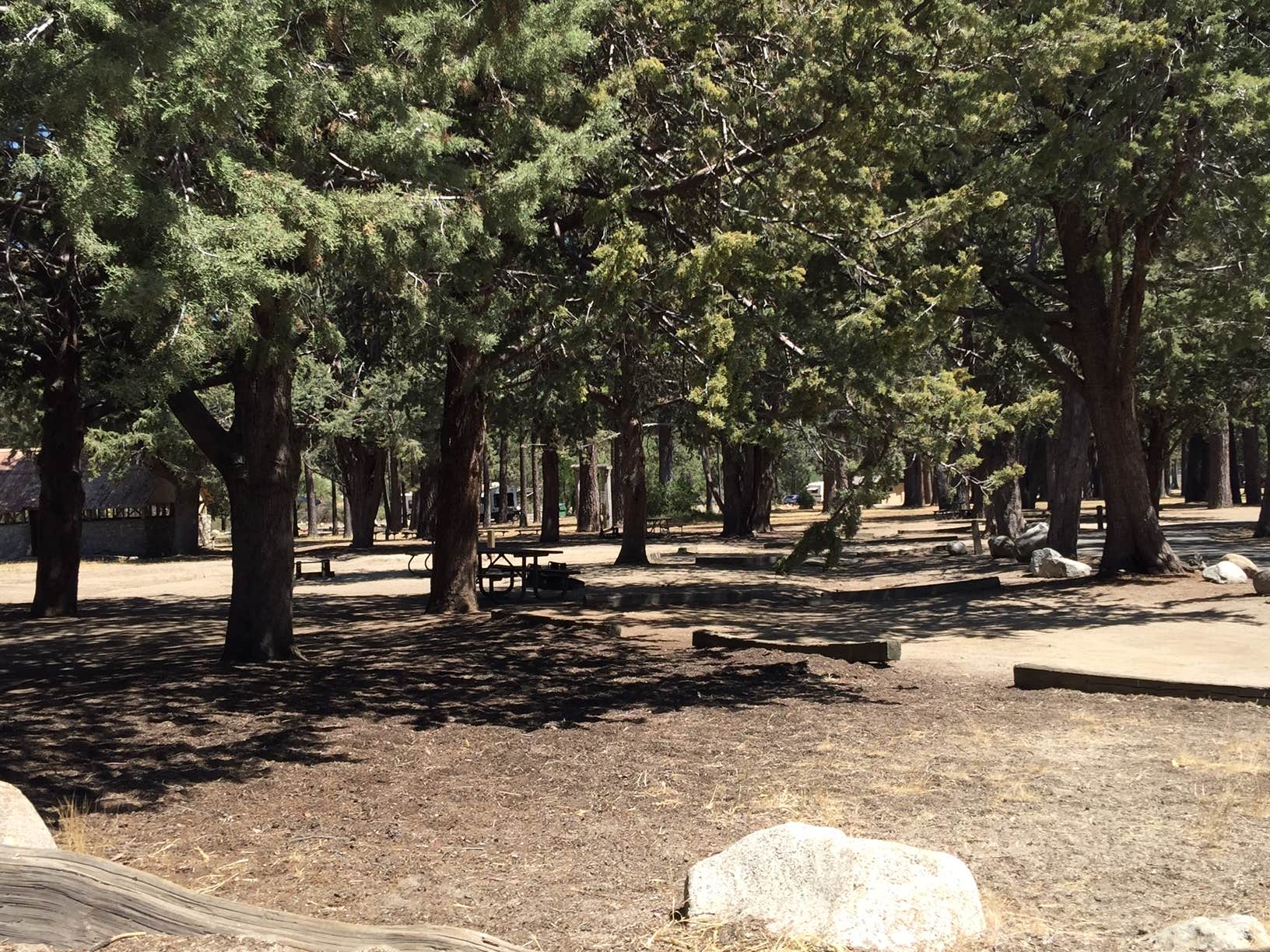 Camper submitted image from Hurkey Creek Park - 1